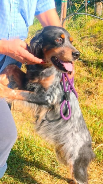 🧡Velia - in Deutschland zur Pflege