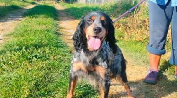 🧡Velia - in Deutschland zur Pflege