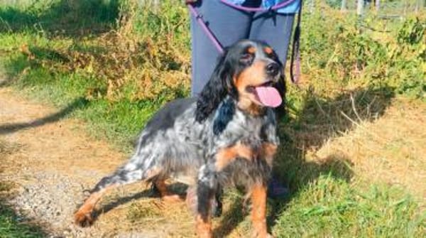 🧡Velia - in Deutschland zur Pflege