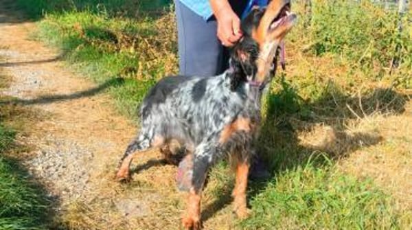 🧡Velia - in Deutschland zur Pflege