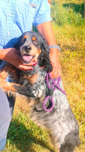 🧡Velia - in Deutschland zur Pflege