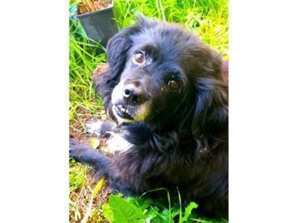 Malee - wartet in 97332 Obervolkach