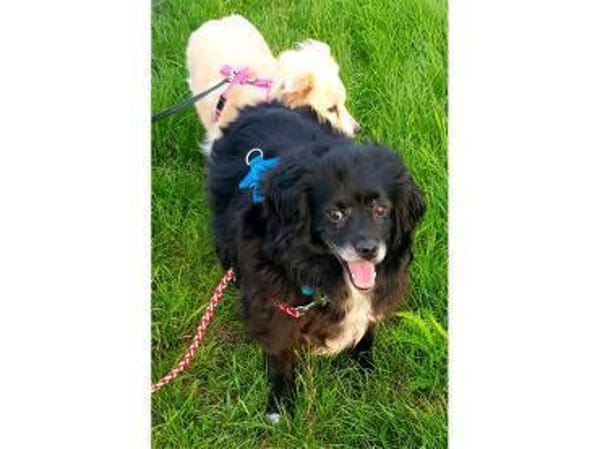 Malee - wartet in 97332 Obervolkach