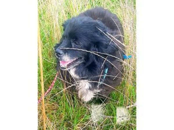 Malee - wartet in 97332 Obervolkach