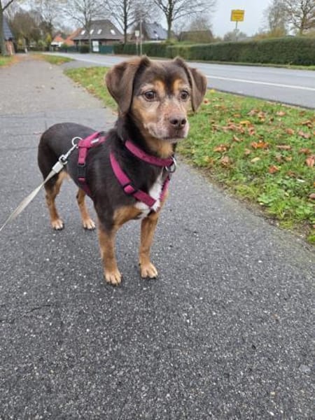 LUNA ❤ einfach liebevoll, Kevelaer