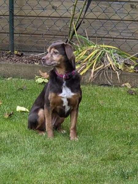 LUNA ❤ einfach liebevoll, Kevelaer