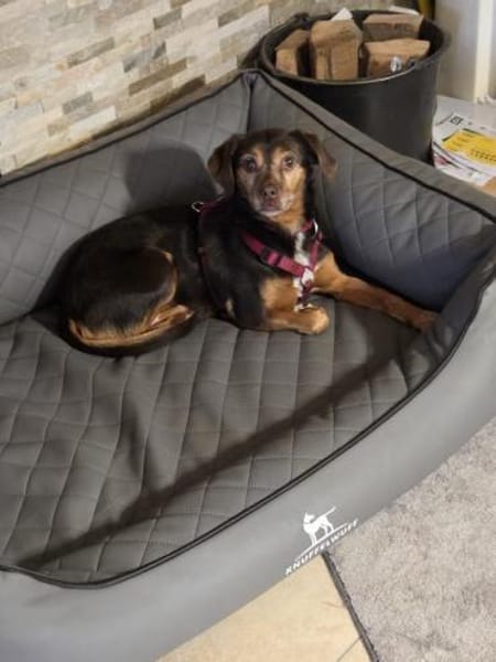 LUNA ❤ einfach liebevoll, Kevelaer