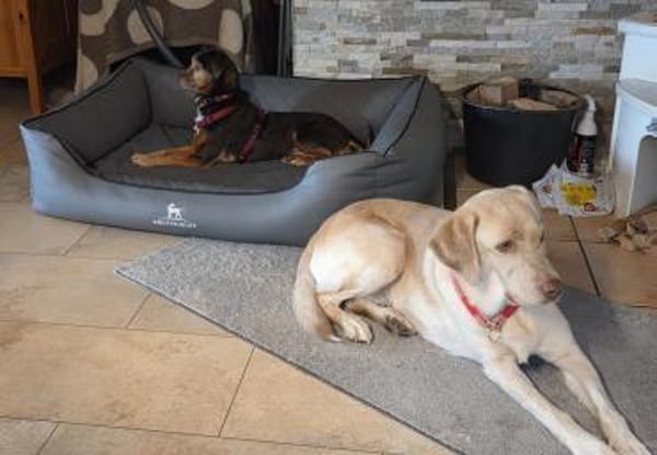 LUNA ❤ einfach liebevoll, Kevelaer