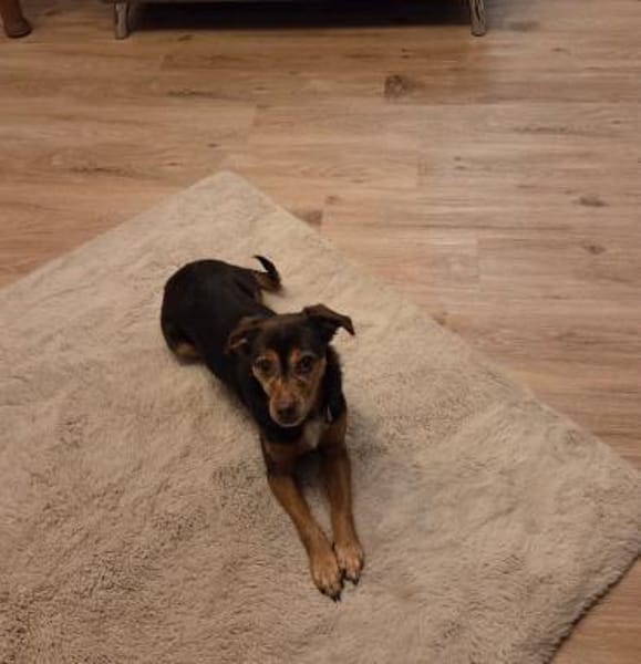 LUNA ❤ einfach liebevoll, Kevelaer