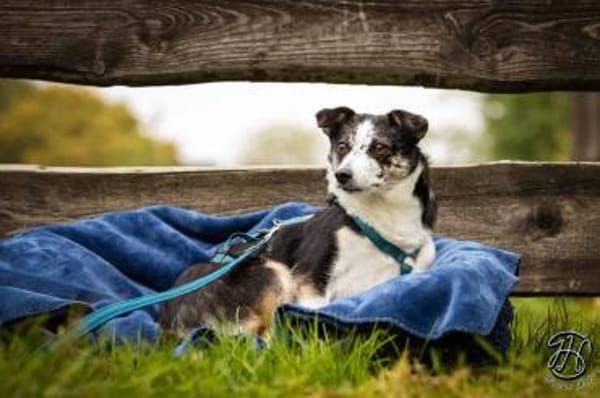 Yori - die Entdeckerin