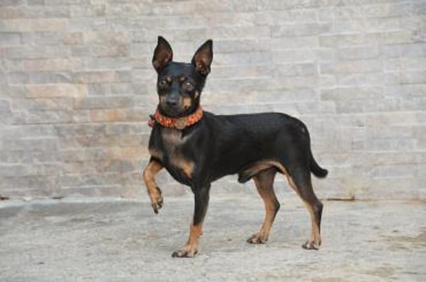 Quiqui braucht dich ❤