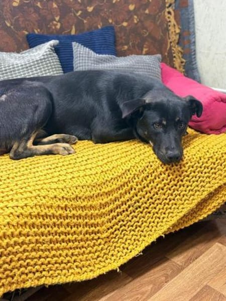 Max - großes Herz aus Gold