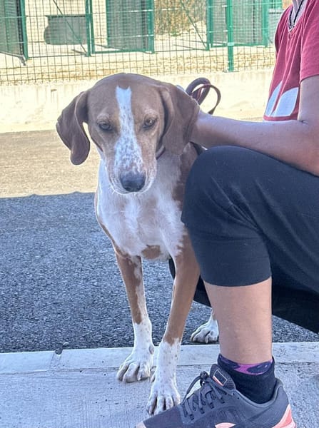 Martina sucht liebevolles Zuhause