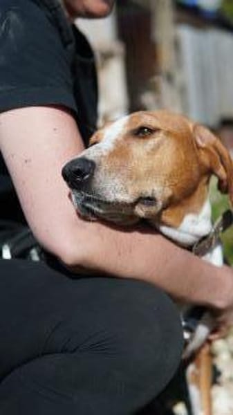 Martina sucht liebevolles Zuhause