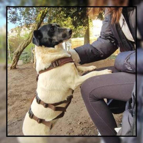 In Düsseldorf wartet die süße FINJA!