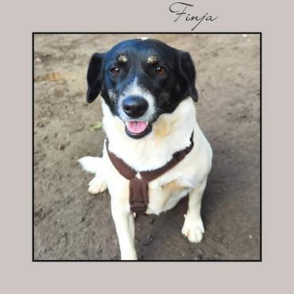 In Düsseldorf wartet die süße FINJA!