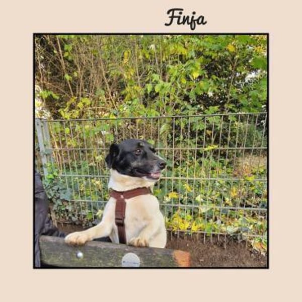 In Düsseldorf wartet die süße FINJA!