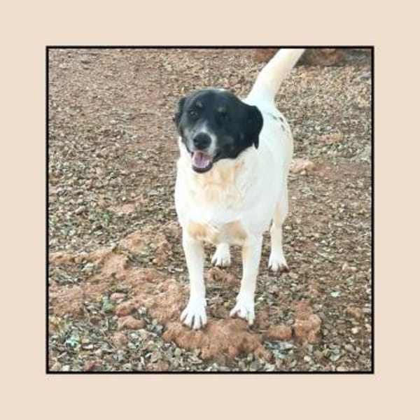 In Düsseldorf wartet die süße FINJA!