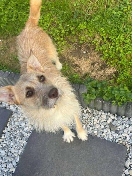 Kiki - die liebe Grinsemaus