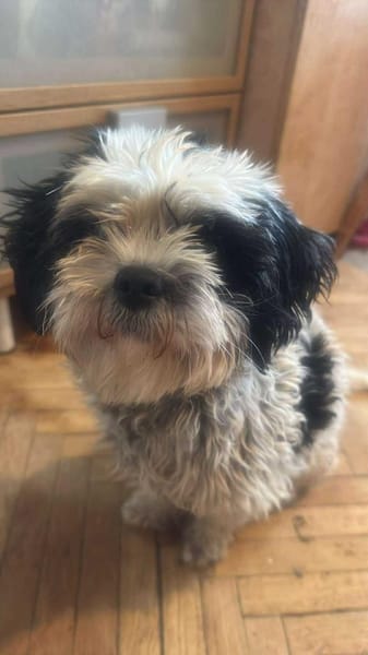 Sunshine, Sonne kommt ins Haus