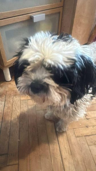 Sunshine, Sonne kommt ins Haus