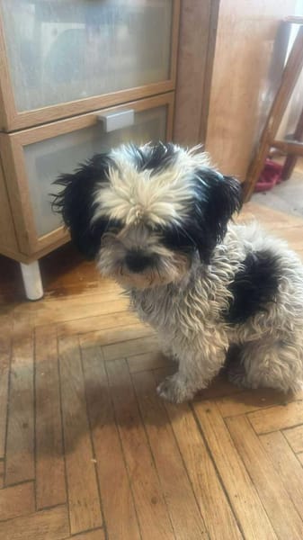 Sunshine, Sonne kommt ins Haus