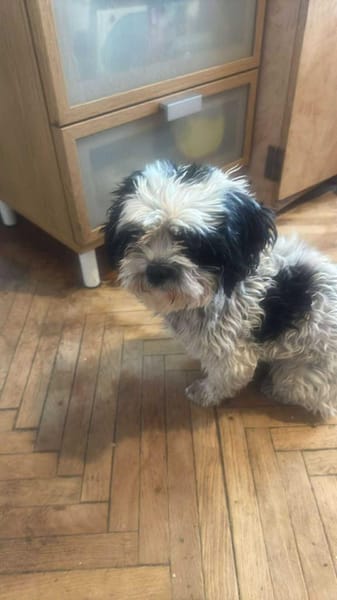 Sunshine, Sonne kommt ins Haus