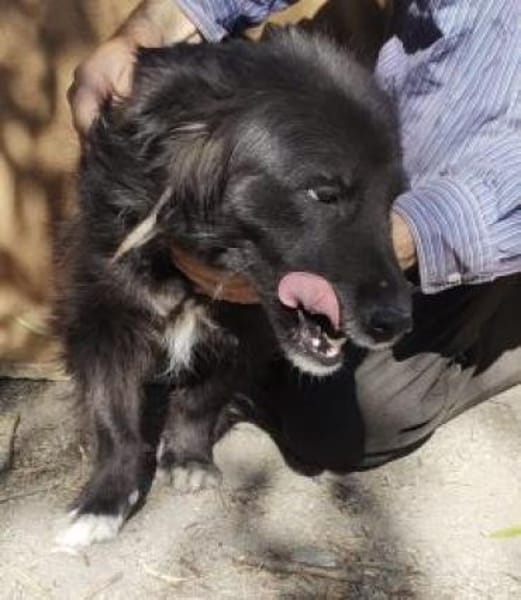 Luna 37 cm (Pflegestelle)