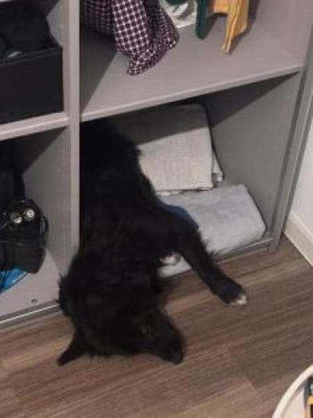 Luna 37 cm (Pflegestelle)