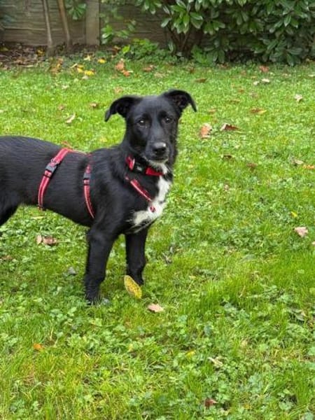 PÜPPI-sanfte Schönheit, 32 cm(w)