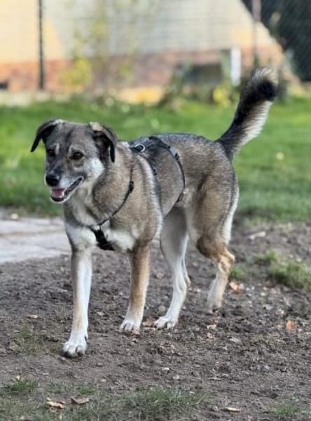 Filia freut sich sehr über Snacks