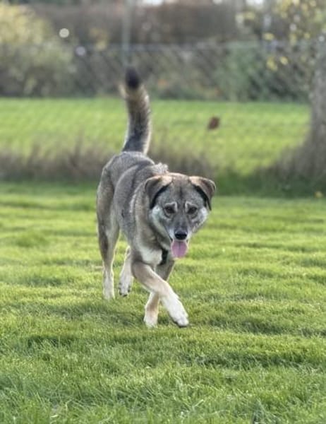 Filia freut sich sehr über Snacks