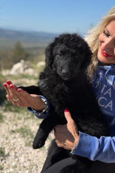 Rumi  Freund fürs Leben gesucht