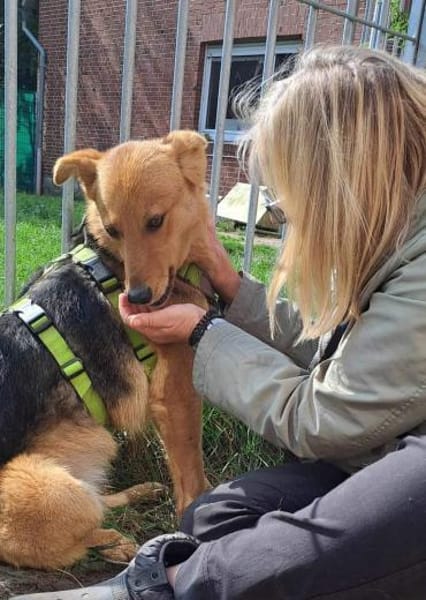 YUKI mit dem lustigen Knickohr