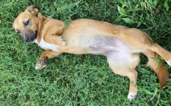 Neyla sucht ihre Familie