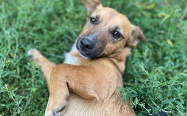 Neyla sucht ihre Familie