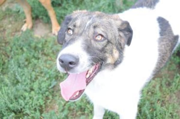 Pflegeleicht und familiär ... Wiliam