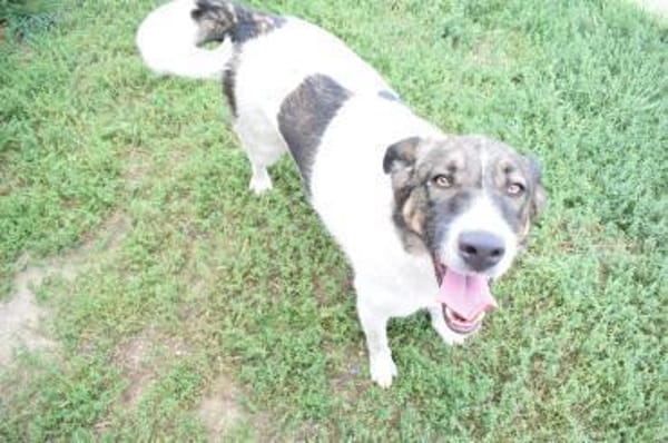 Pflegeleicht und familiär ... Wiliam