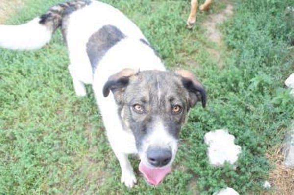 Pflegeleicht und familiär ... Wiliam