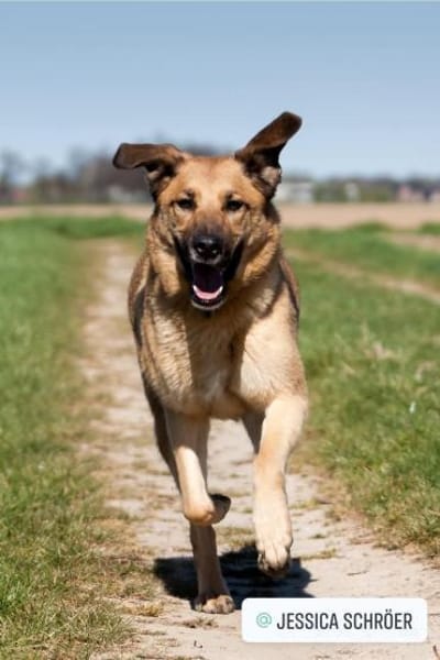 Hoppla hier kommt ALMA