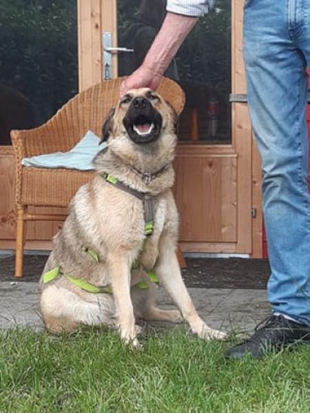 Hoppla hier kommt ALMA