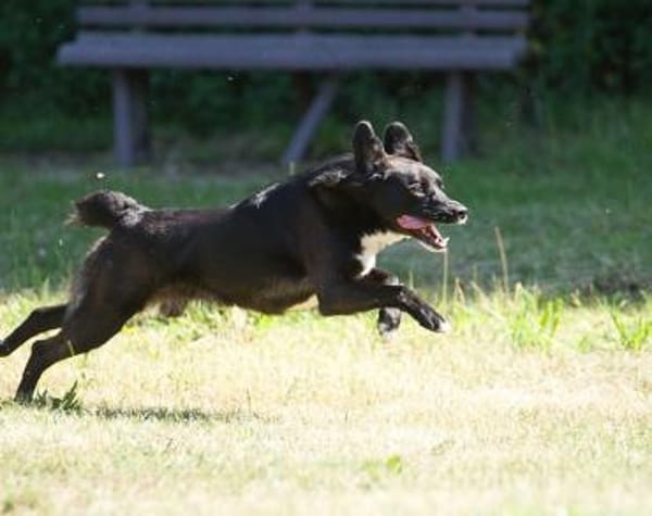Ghandi möchte endlich ankommen!