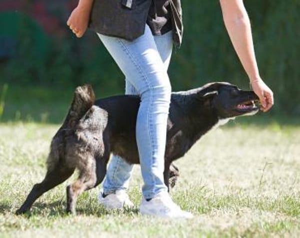 Ghandi möchte endlich ankommen!