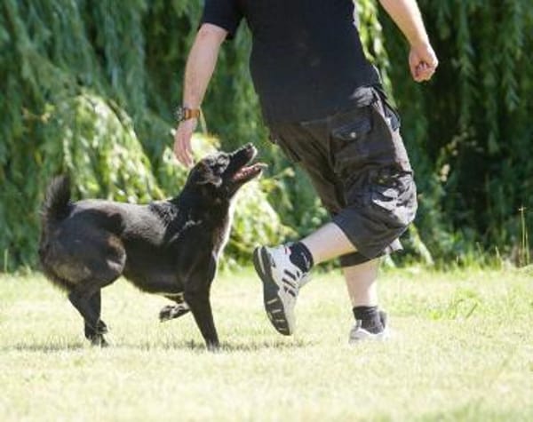 Ghandi möchte endlich ankommen!