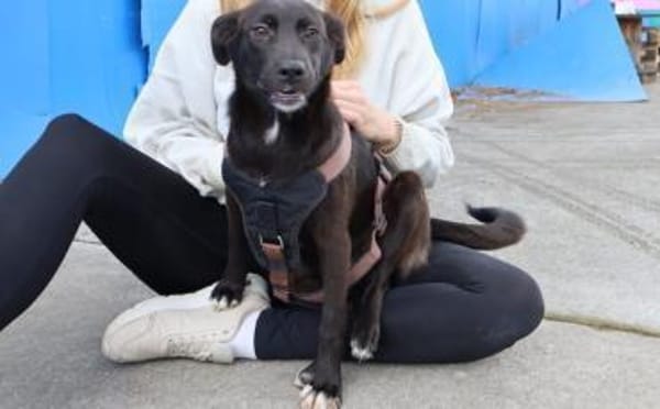 Emma wartet auf dich