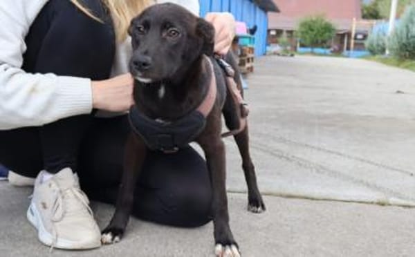 Emma wartet auf dich