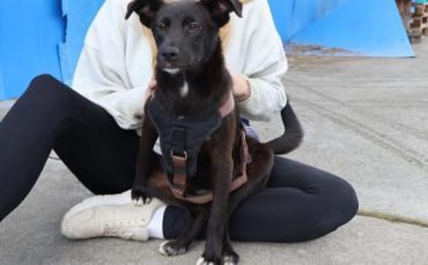 Emma wartet auf dich