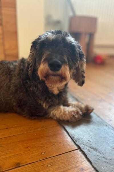 Käthe  kleine Beine großes Herz ❤