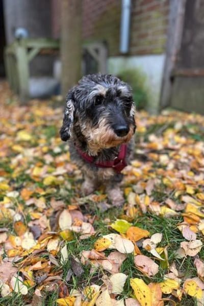 Käthe  kleine Beine großes Herz ❤