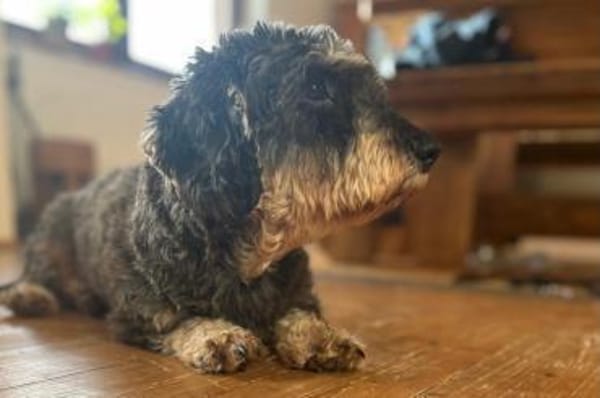 Käthe  kleine Beine großes Herz ❤